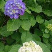 ヒメ日記 2025/06/02 13:53 投稿 ももか 熟女デリヘル倶楽部