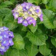 ヒメ日記 2025/06/04 17:52 投稿 ももか 熟女デリヘル倶楽部