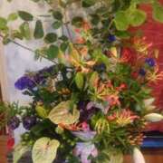 ヒメ日記 2025/06/29 01:28 投稿 ももか 熟女デリヘル倶楽部