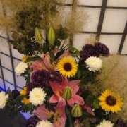 ヒメ日記 2025/07/07 00:15 投稿 ももか 熟女デリヘル倶楽部