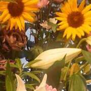 ヒメ日記 2025/07/07 20:46 投稿 ももか 熟女デリヘル倶楽部