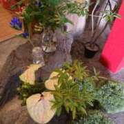 ヒメ日記 2025/07/10 00:17 投稿 ももか 熟女デリヘル倶楽部