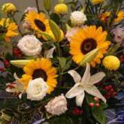 ヒメ日記 2025/07/22 23:31 投稿 ももか 熟女デリヘル倶楽部