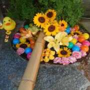 ヒメ日記 2025/07/31 23:47 投稿 ももか 熟女デリヘル倶楽部