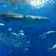 ヒメ日記 2025/08/01 23:37 投稿 ももか 熟女デリヘル倶楽部