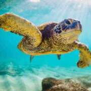 ヒメ日記 2025/08/06 12:59 投稿 ももか 熟女デリヘル倶楽部