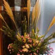 ヒメ日記 2025/08/09 22:18 投稿 ももか 熟女デリヘル倶楽部