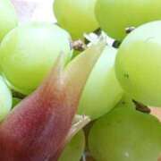 ヒメ日記 2025/08/23 21:45 投稿 ももか 熟女デリヘル倶楽部