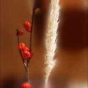 ヒメ日記 2025/08/25 19:48 投稿 ももか 熟女デリヘル倶楽部