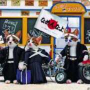 ヒメ日記 2025/09/18 07:15 投稿 ももか 熟女デリヘル倶楽部