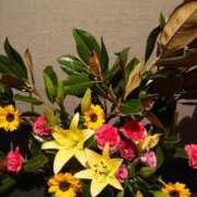 ヒメ日記 2025/09/27 17:57 投稿 ももか 熟女デリヘル倶楽部