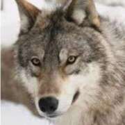 ヒメ日記 2025/11/05 21:16 投稿 ももか 熟女デリヘル倶楽部