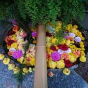 ヒメ日記 2025/11/08 13:30 投稿 ももか 熟女デリヘル倶楽部