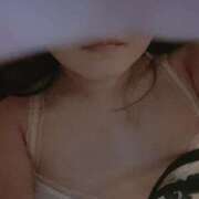 さくら 今年は今日が最後の日かな～ どきどきヘルス探検隊