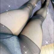 ヒメ日記 2025/09/15 08:02 投稿 辻倉　さよか エテルナ京都