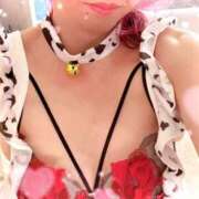 ヒメ日記 2025/09/19 20:02 投稿 辻倉　さよか エテルナ京都