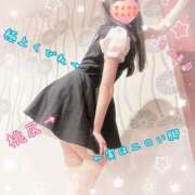 ヒメ日記 2024/12/30 15:01 投稿 ちさ アリスカフェ