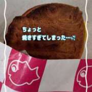 ヒメ日記 2025/02/12 15:15 投稿 ちさ アリスカフェ