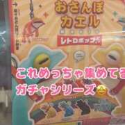 ヒメ日記 2025/02/15 16:15 投稿 ちさ アリスカフェ