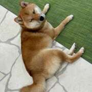 ヒメ日記 2025/05/25 06:00 投稿 ちさ アリスカフェ