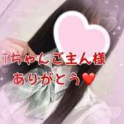 ヒメ日記 2025/05/26 13:02 投稿 ちさ アリスカフェ