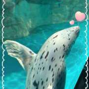 ヒメ日記 2025/06/16 15:15 投稿 ちさ アリスカフェ