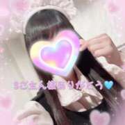 ヒメ日記 2025/06/23 16:01 投稿 ちさ アリスカフェ