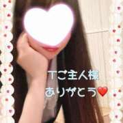 ヒメ日記 2025/07/23 07:45 投稿 ちさ アリスカフェ