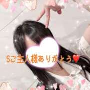 ヒメ日記 2025/12/30 08:00 投稿 ちさ アリスカフェ