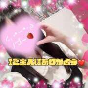 ヒメ日記 2026/02/21 20:24 投稿 ちさ アリスカフェ