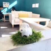 ヒメ日記 2024/12/18 13:12 投稿 れん シークレットサービス