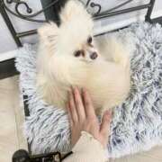 ヒメ日記 2024/12/19 13:12 投稿 れん シークレットサービス