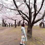 ヒメ日記 2025/05/01 12:12 投稿 れん シークレットサービス