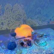 ヒメ日記 2025/05/30 12:13 投稿 れん シークレットサービス