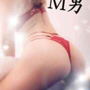 ヒメ日記 2026/01/15 09:18 投稿 カレン Salon du M-えっちなお姉さんのM性感デリバリー-五反田店