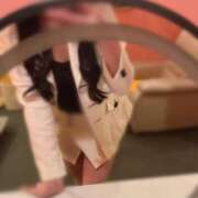 ヒメ日記 2025/01/28 12:57 投稿 涼風　いつき 雫(しずく)