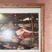 ヒメ日記 2025/01/31 19:43 投稿 涼風　いつき 雫(しずく)