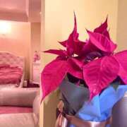 ヒメ日記 2025/05/06 02:04 投稿 涼風　いつき 雫(しずく)