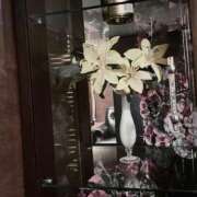 ヒメ日記 2025/06/06 01:12 投稿 涼風　いつき 雫(しずく)