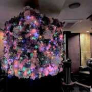 ヒメ日記 2025/06/13 03:42 投稿 涼風　いつき 雫(しずく)