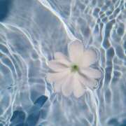 ヒメ日記 2025/09/14 17:33 投稿 涼風　いつき 雫(しずく)