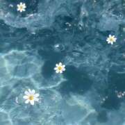 ヒメ日記 2025/10/12 12:13 投稿 涼風　いつき 雫(しずく)