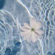 ヒメ日記 2025/10/22 20:33 投稿 涼風　いつき 雫(しずく)