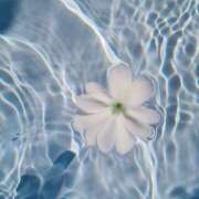 ヒメ日記 2025/11/07 13:51 投稿 涼風　いつき 雫(しずく)