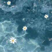 ヒメ日記 2025/11/09 13:42 投稿 涼風　いつき 雫(しずく)