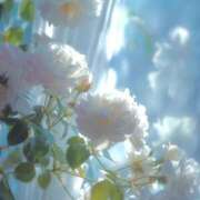 ヒメ日記 2025/11/11 10:33 投稿 涼風　いつき 雫(しずく)