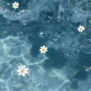 ヒメ日記 2025/11/29 12:12 投稿 涼風　いつき 雫(しずく)