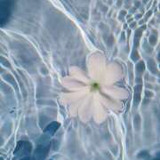 ヒメ日記 2025/11/30 20:42 投稿 涼風　いつき 雫(しずく)