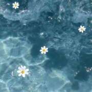 涼風　いつき まだ 雫(しずく)