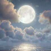 ヒメ日記 2025/12/13 05:42 投稿 涼風　いつき 雫(しずく)